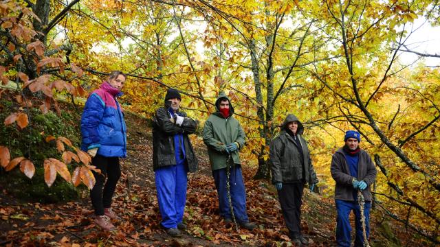 Varios agricultores de Piornal patrullan por lo montes en busca de ladrones