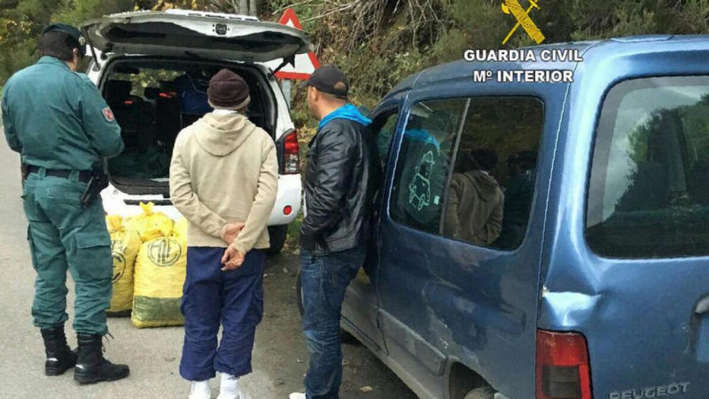 La Guardia Civil detiene a unos sospechosos de robos de castañas en El Bierzo (León)
