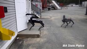 Estados Unidos ya está usando los perros robots de Boston Dynamics