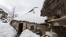 #Escapadas Nieve en Galicia: los mejores lugares para disfrutarla