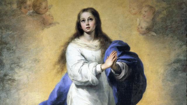 La Inmaculada Concepción de María.