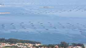 Bateas en la ría de Arousa.