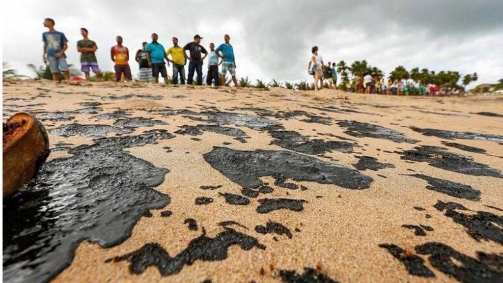 Grupo de voluntarios limpiando las costas de Alagoas.