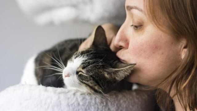 Una de las voluntarias con un gatuchiño