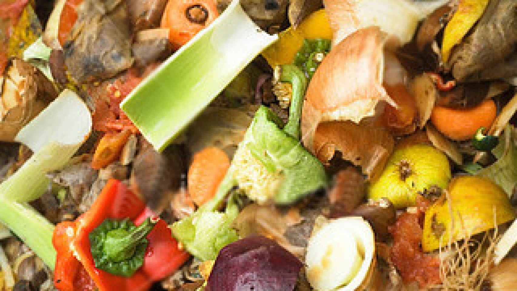 El 14% de los alimentos que se producen acaban en la basura