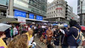 Somos su voz: concentración en el Obelisco de A Coruña contra el maltrato animal