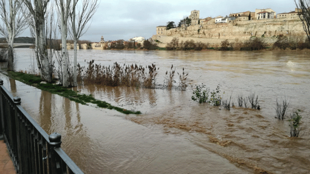 Castilla y León