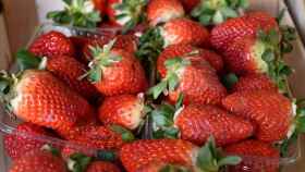 Los frutos rojos deben su color a las antocianinas, un potente antioxidantes muy beneficioso para nuestra salud.