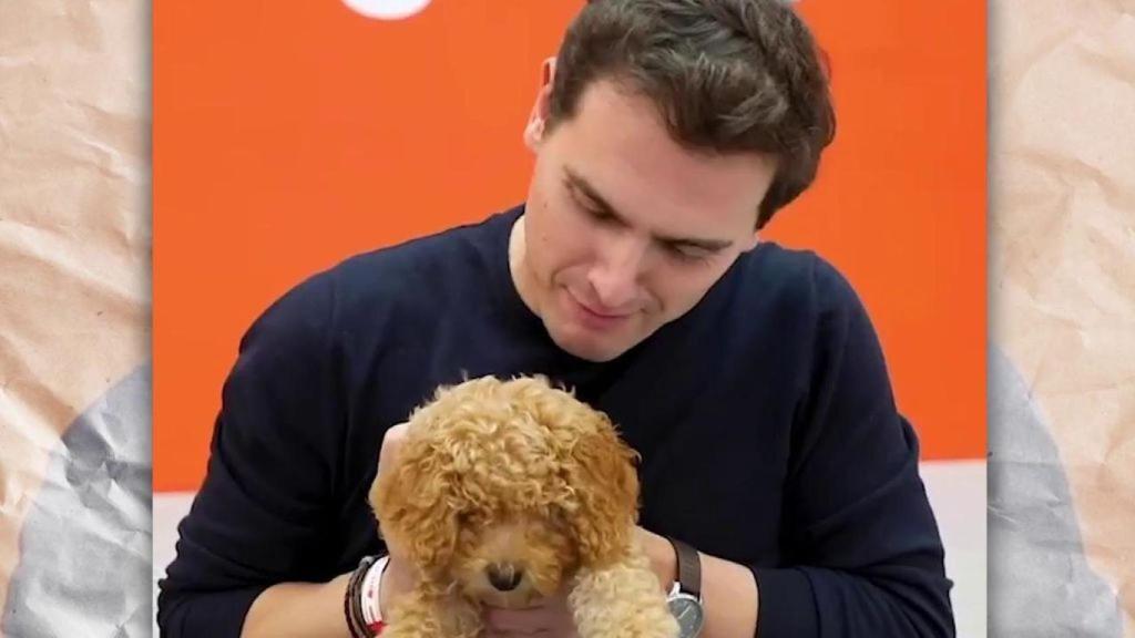 Albert Rivera y el perro Lucas nos brindaron uno de los 'memes' del año