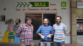 zamora uccl sede