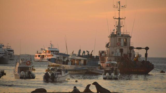 Cabo Verde destaca por sus paradisíacas playas y su ecosistema marino.