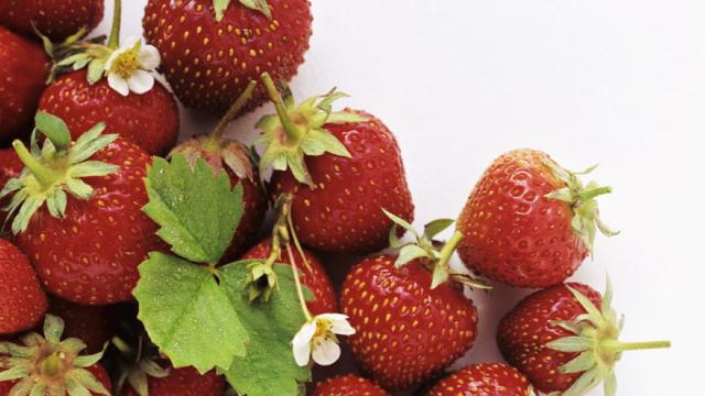 Fresas: la importancia de mirar el tallo y las hojas.