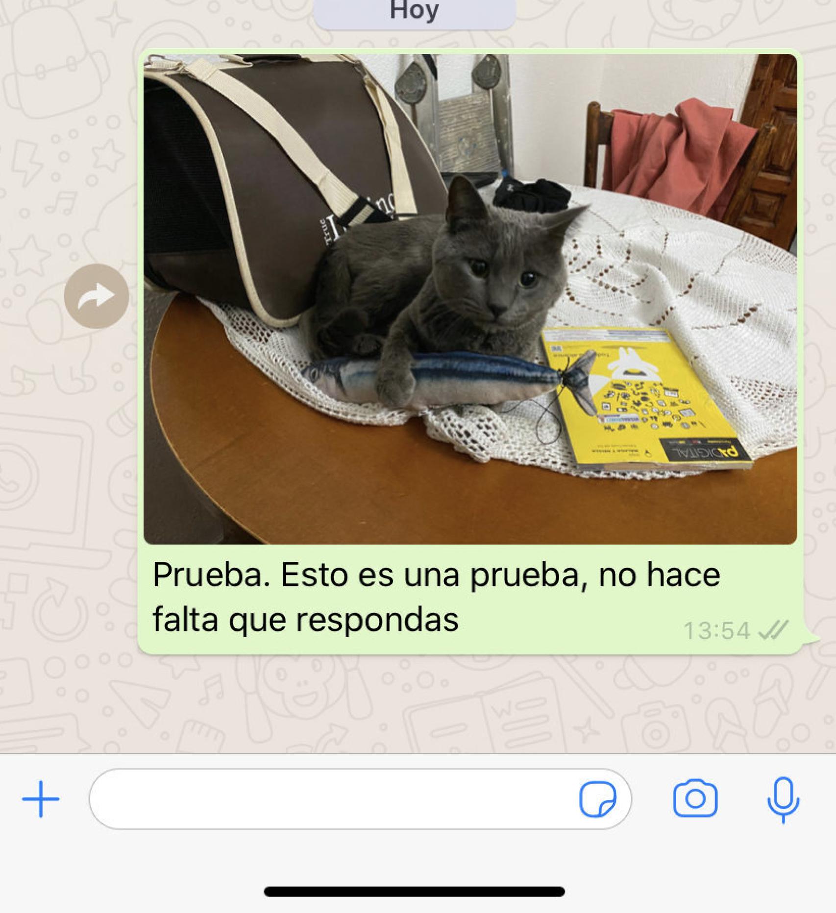 Algunos usuarios pueden enviar imágenes sin problemas