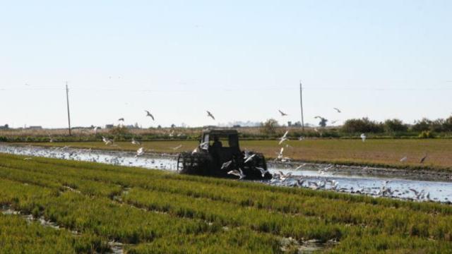 Paisaje en las Terres d l'Ebre