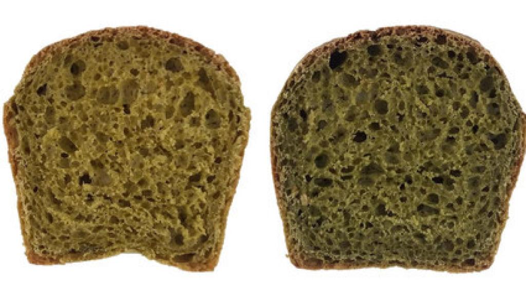 Pan blanco, pan con un porcentaje de microalgas en lugar de harina y pan con una cantidad de biomasa de alga mayor.