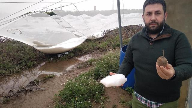 Vicente Fort, gerente de la Cooperativa Agro-Cítrica de Picassent (Valencia).