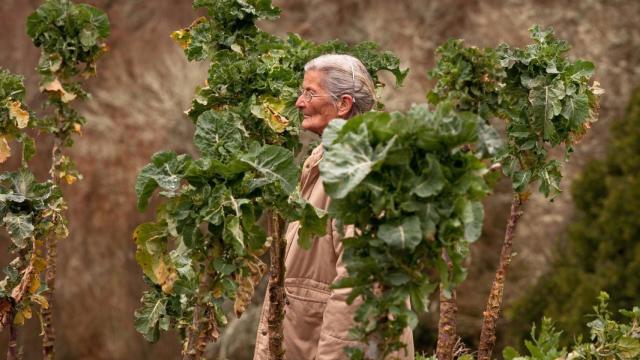 Benedicta, la actriz protagonista de O que arde y nominada a un Goya