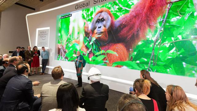 La científica Jane Goodall se dirige a un grupo de asistentes al último Foro de Davos.