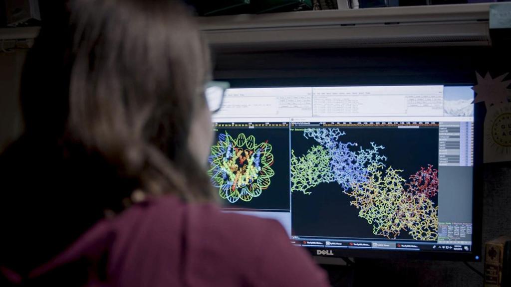 Una investigadora en el Fred Hutchinson Cancer Research Center.