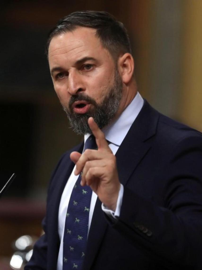 Santiago Abacal, líder nacional de VOX, durante una intervención en el Congreso de los Diputados.