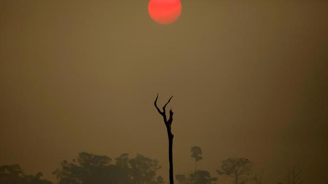 Una imagen del pasado septiembre de una zona deforestada en el bosque nacional Bom Futuro en Río Pardo, Brasil.