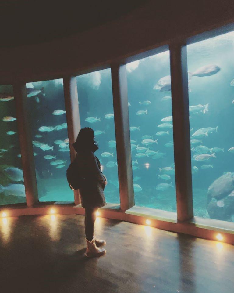 Penide en la Sala Nautilus del Aquarium de A Coruña. Fuente: Facebook Silvia Penide