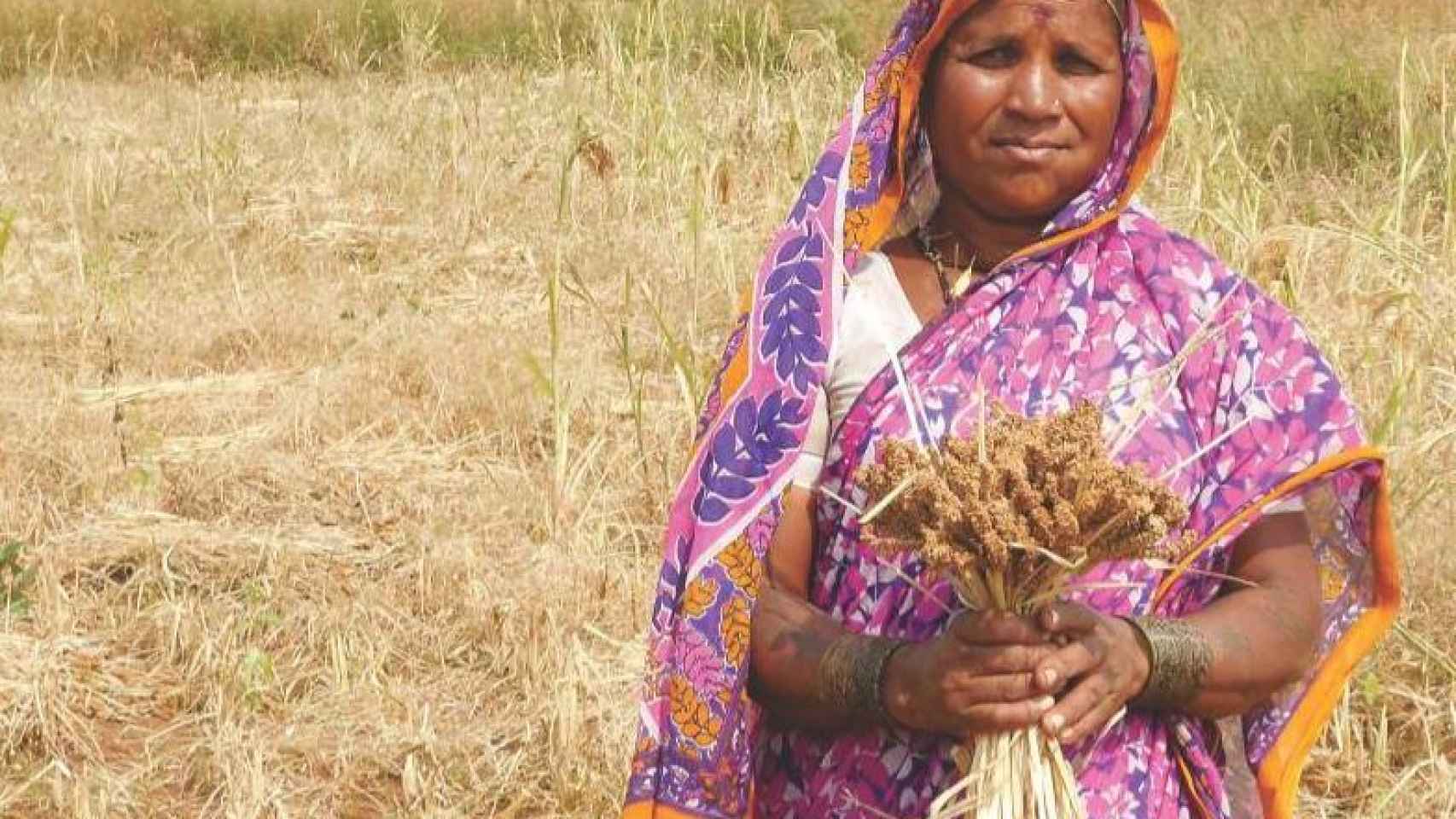 Una mujer india trabajando en el campo.