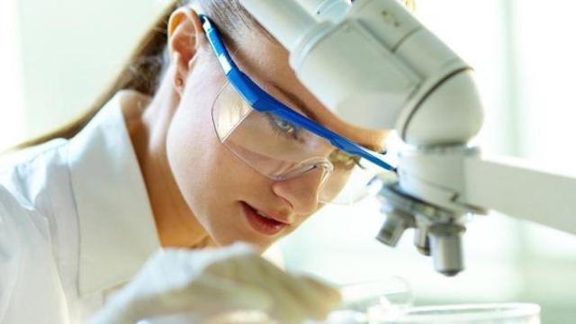 Foto de archivo. Mujer científica en el laboratorio realizando un estudio.