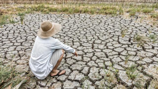 La aridez extrema es un grave problema ecológico.