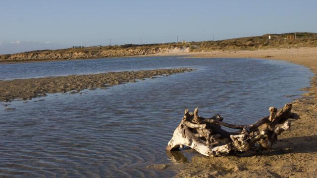 Piden a la Xunta que actúe para recuperar la laguna de Baldaio