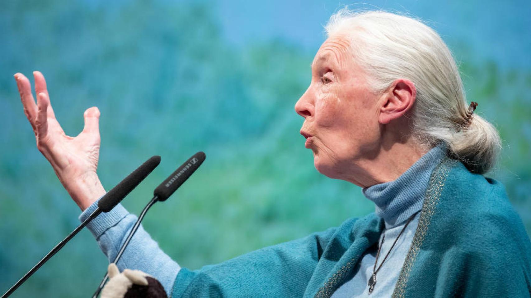 Jane Goodall