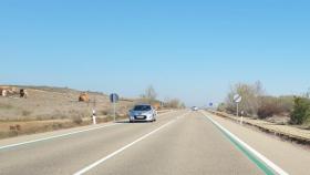 Las rayas verdes que está pintando la DGT en las carreteras españolas.