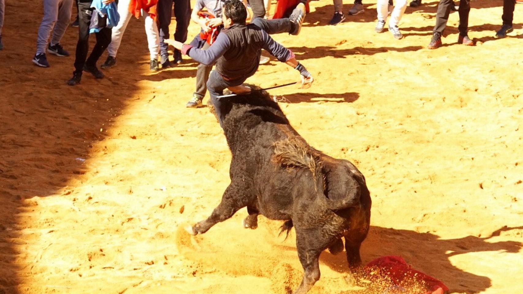 Castilla y León