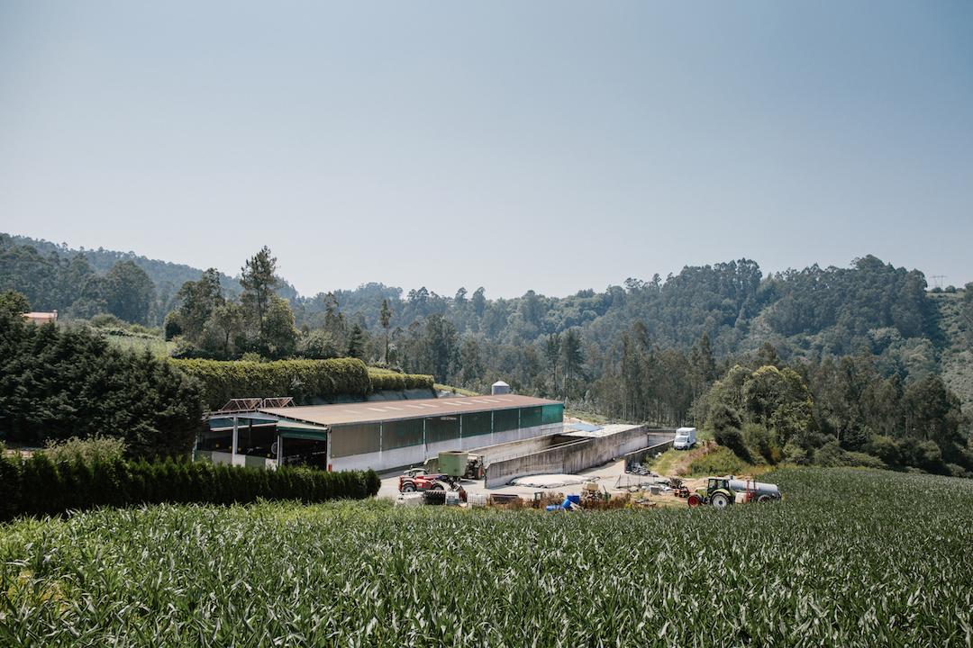 La granja de O Cancelo, donde la marca elabora sus productos. Fuente: BX