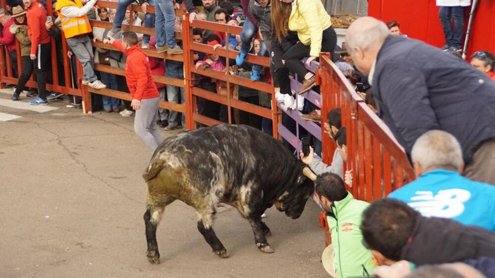 Castilla y León