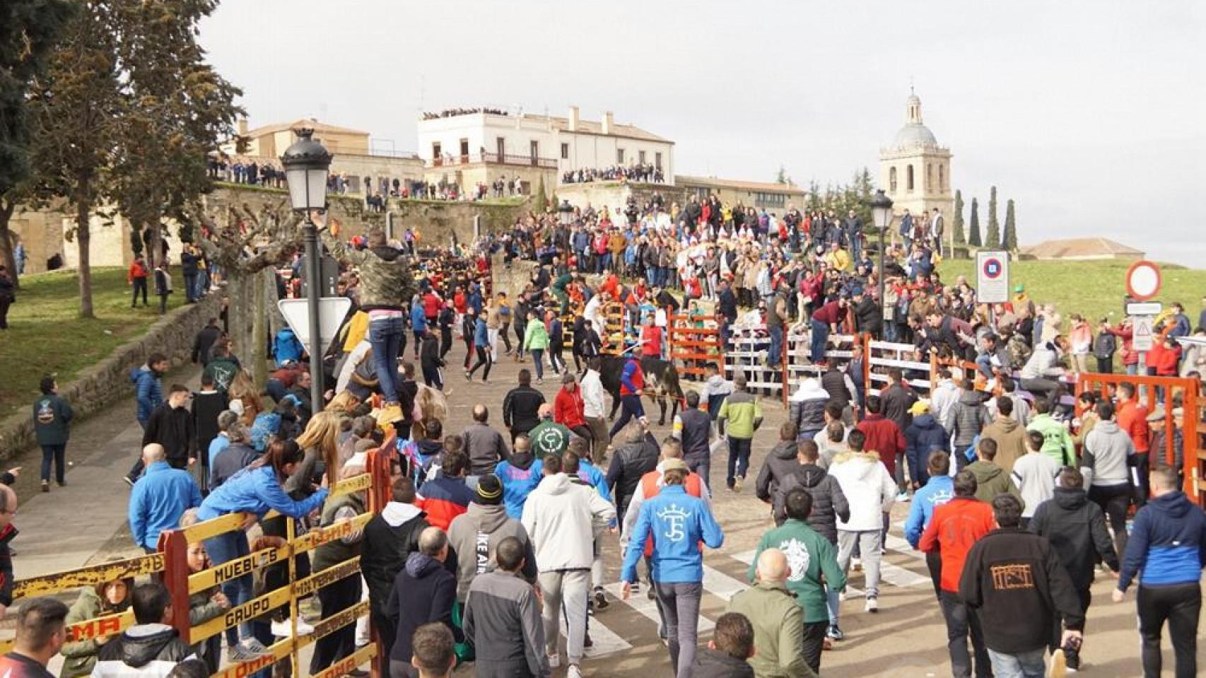 Encierro en el Carnaval del Toro de Ciudad Rodrigo