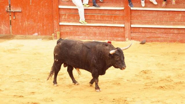 Castilla y León