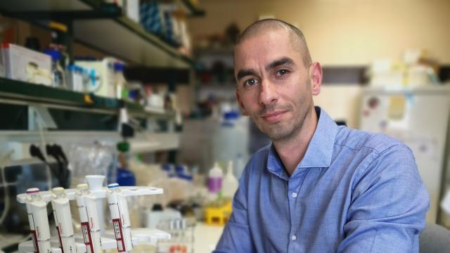 El doctor Raúl Rivas en su laboratorio de la Universidad de Salamanca.