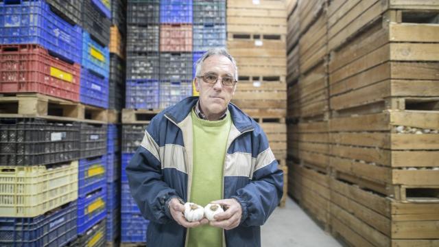 Luis venderá sus ajos más caros 'gracias' al cerrojazo chino por el coronavirus.