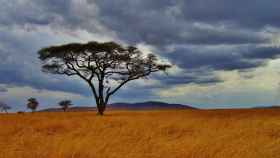 Vivir la naturaleza salvaje en su pleno esplendor en África