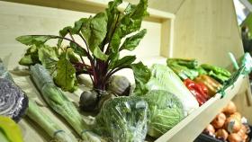 Verduras variadas a la venta en una supermercado.