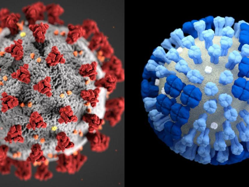 El coronavirus (izquierda) y el virus de la gripe estacional.