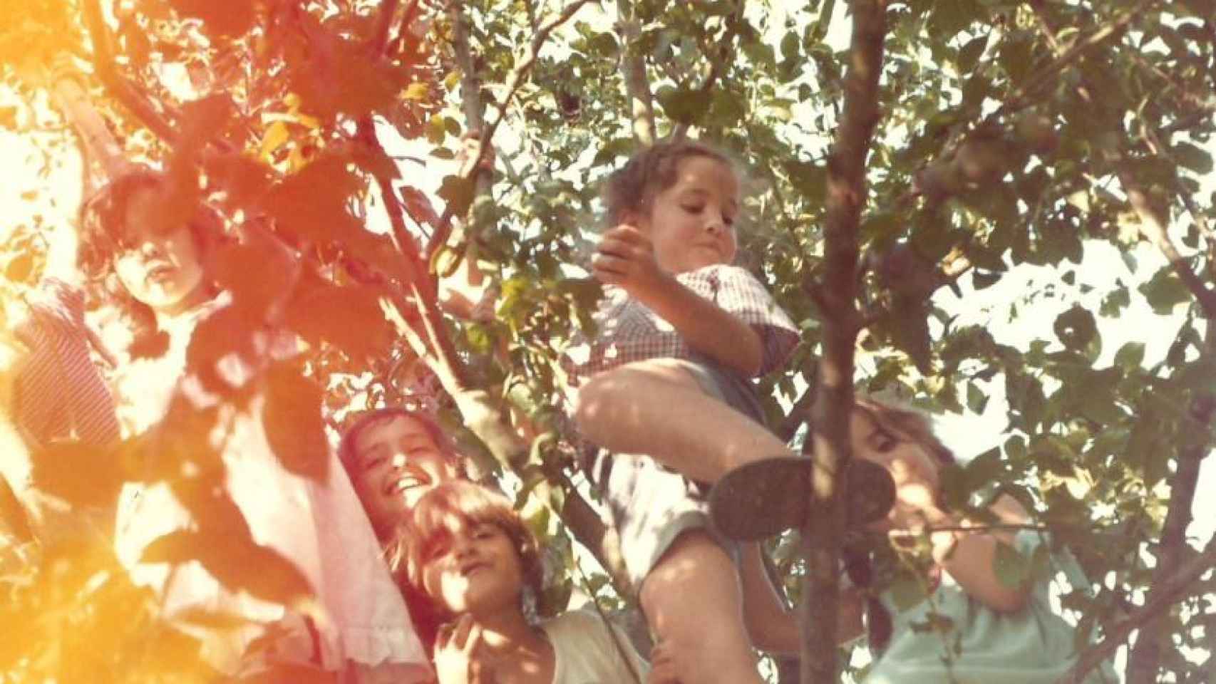 Rebeca, a la derecha, subida a un árbol con sus hermanos.