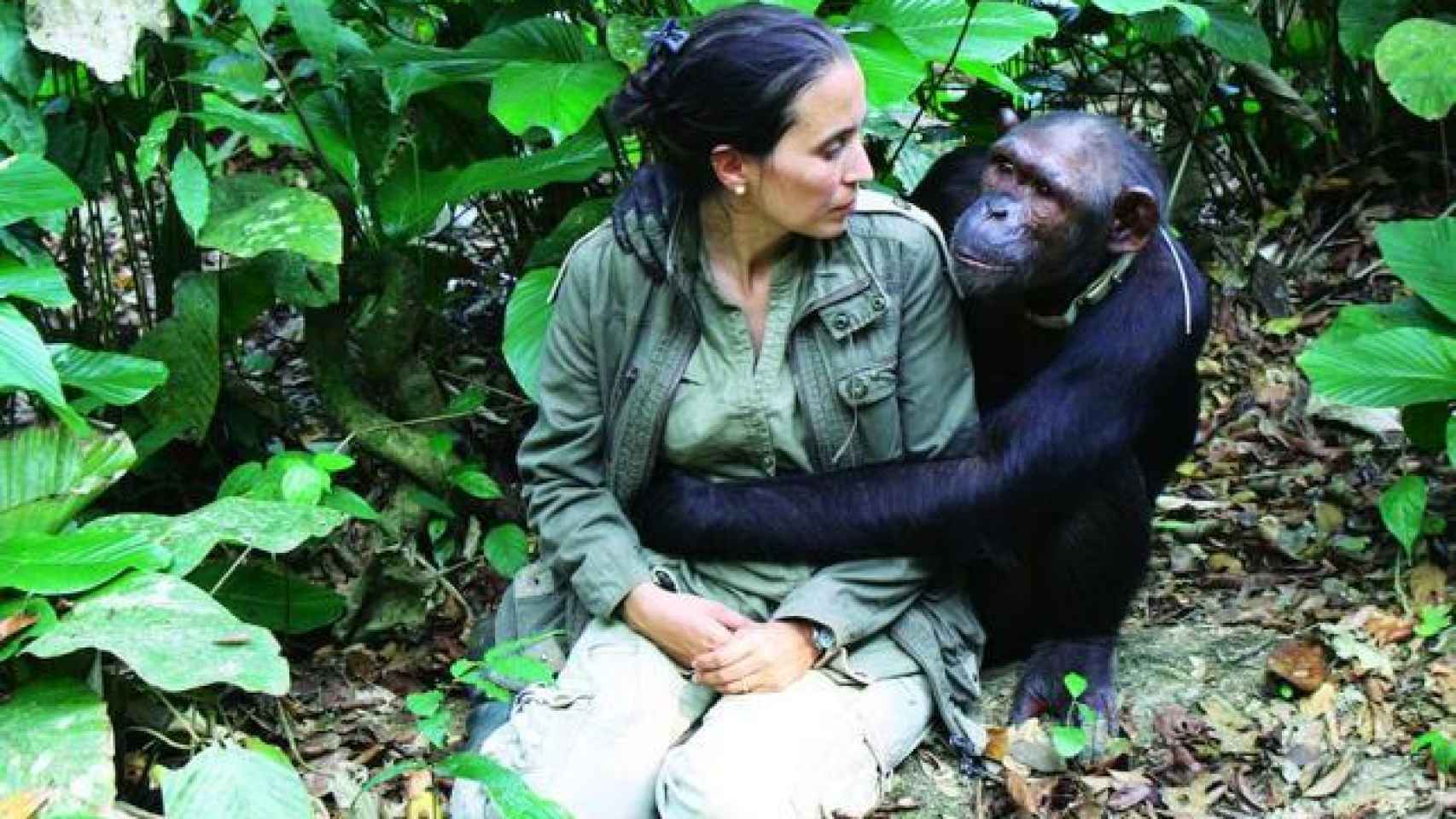 La veterinaria es capaz de reconocer a todos los chimpancés con los que ha trabajado.