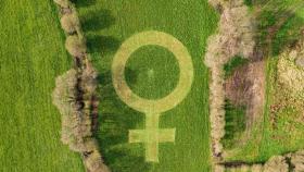 A Coruña luce el símbolo de la mujer más grande del mundo segado en hierba