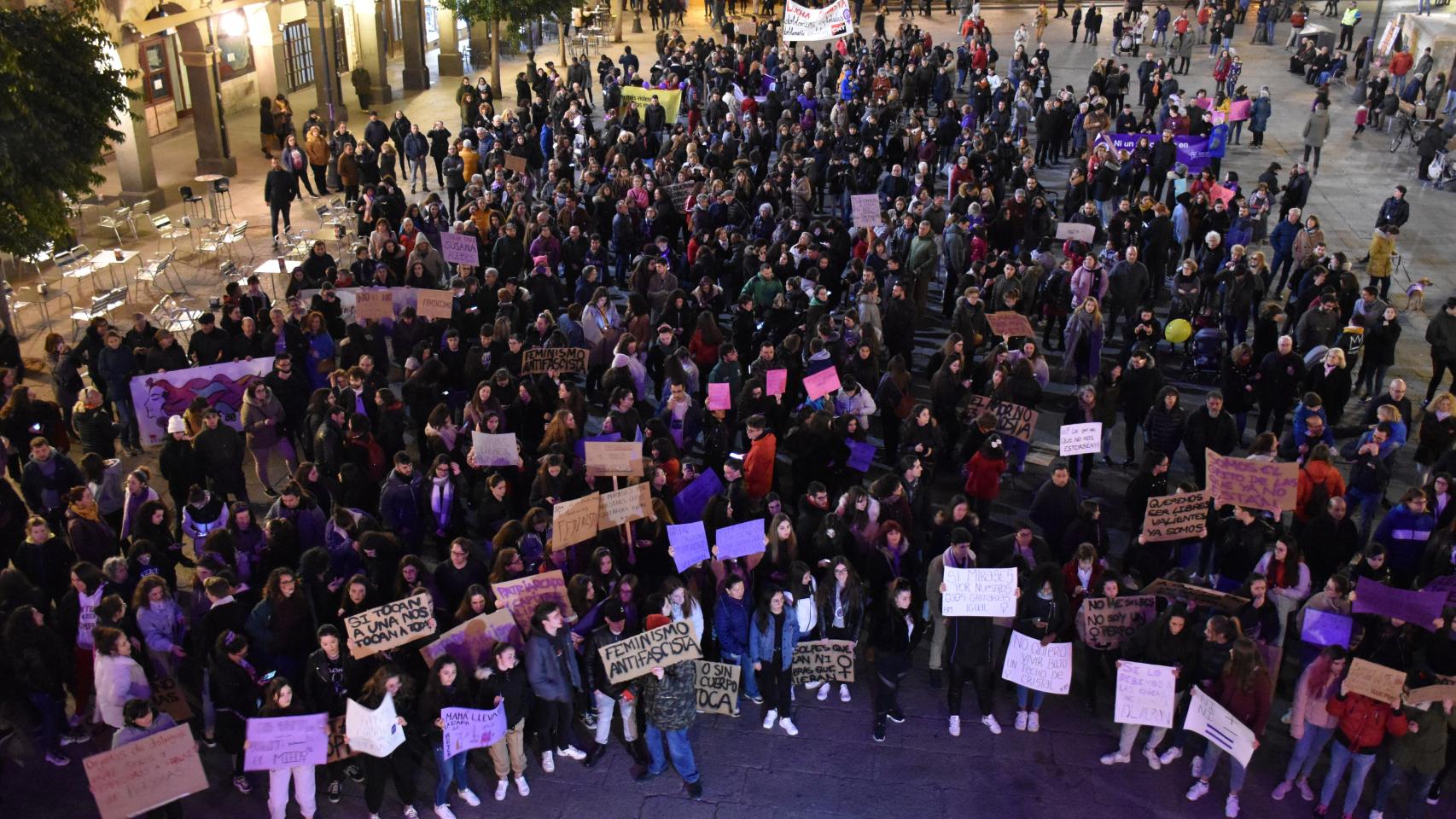 Manifestación 8-M en Zamora 1