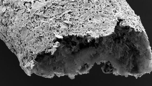 Primer plano de la estructura tubular desarrollada por el equipo de investigación.