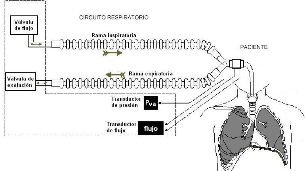 Esquema respiración artificial