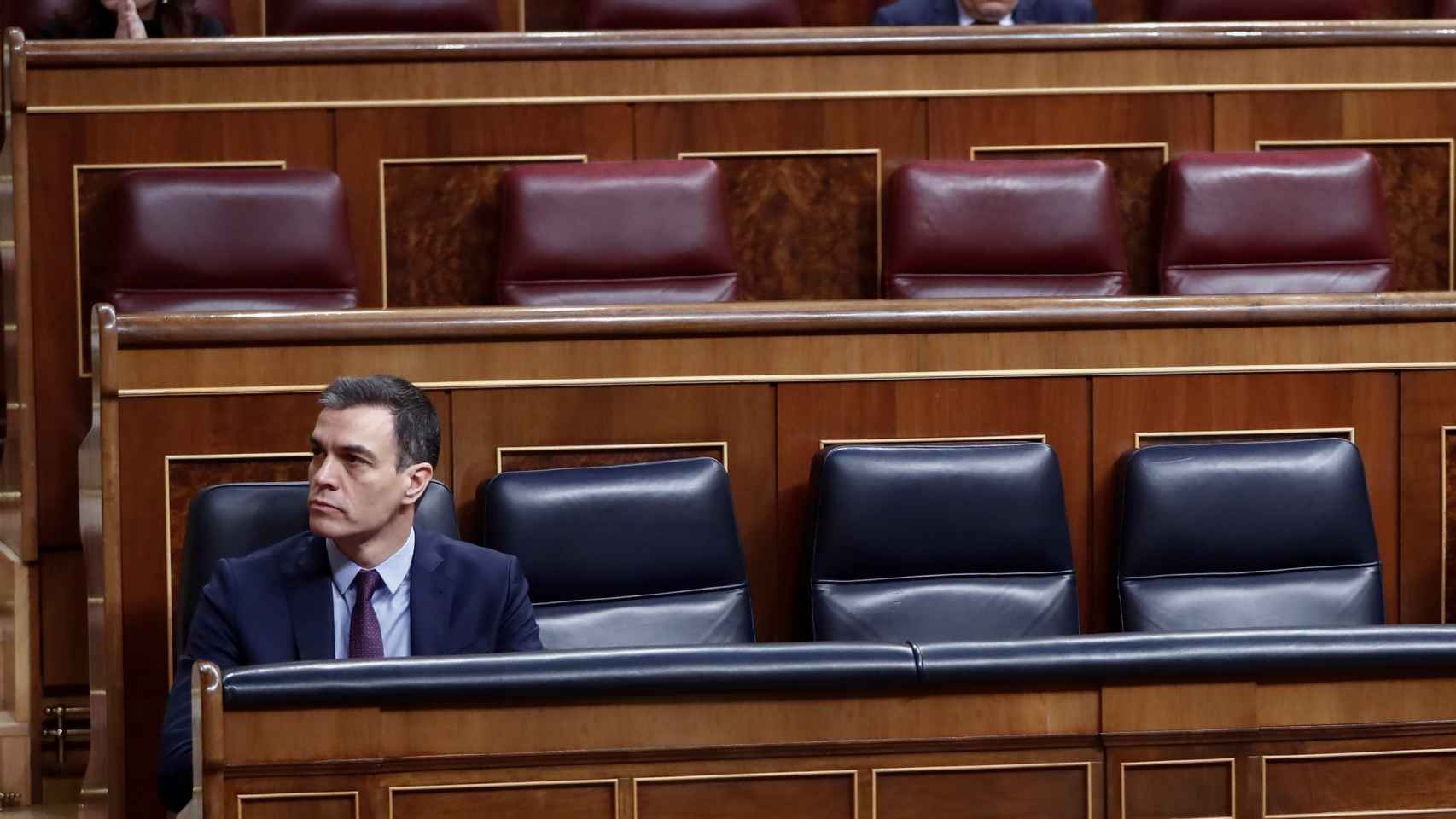 Pedro Sánchez, en la bancada azul del Gobierno, en el Congreso de los Diputados.