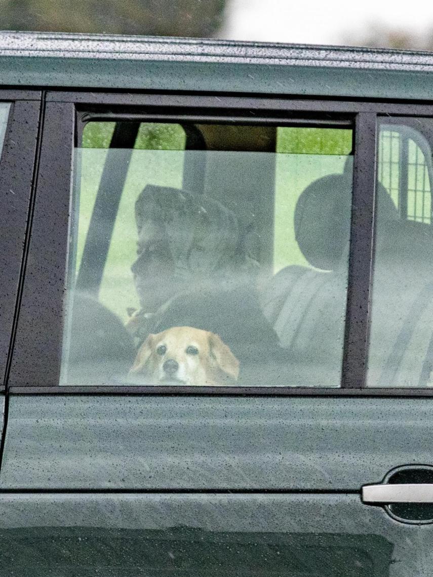 Isabel II junto a sus perros llegando a Windsor.